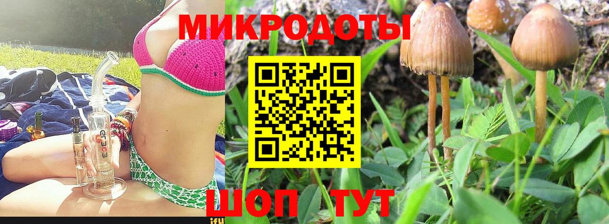 Псилоцибиновые грибы мухоморы Саяногорск