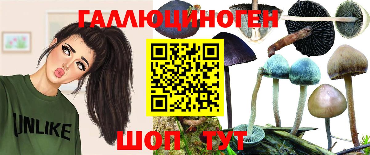 Канабис Саяногорск